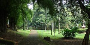 keangkeran-taman-langsat-mayestik-diang-c62ffe